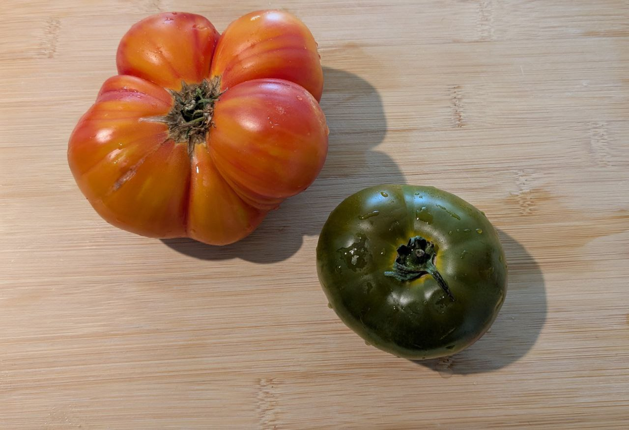 Dressed_tomatoes_init.png|700